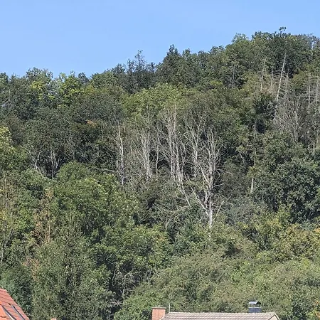 Mit Ausblick In アパート Wimmelburg