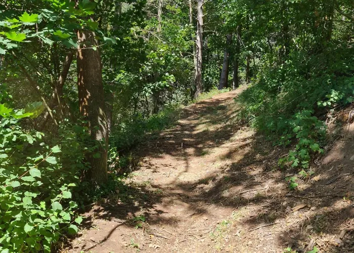 Lejlighed Mit Ausblick In *