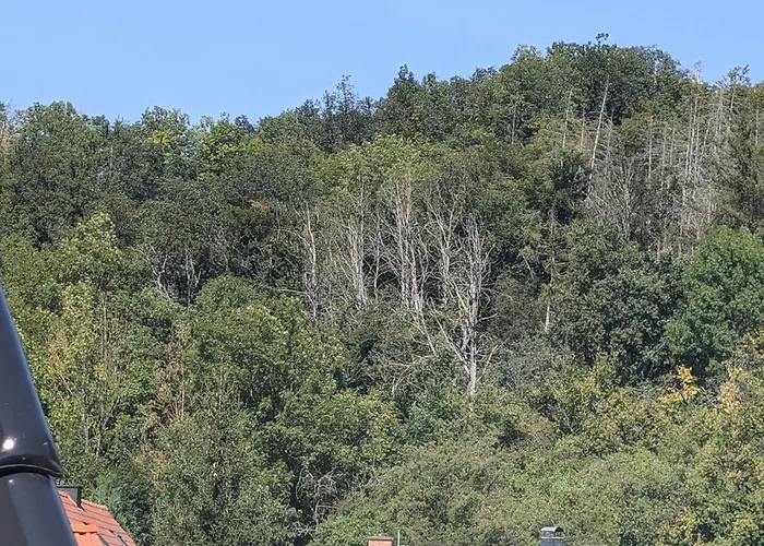 Mit Ausblick In 아파트 Wimmelburg